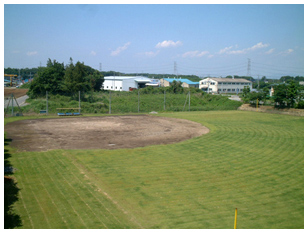 城山公苑野球場